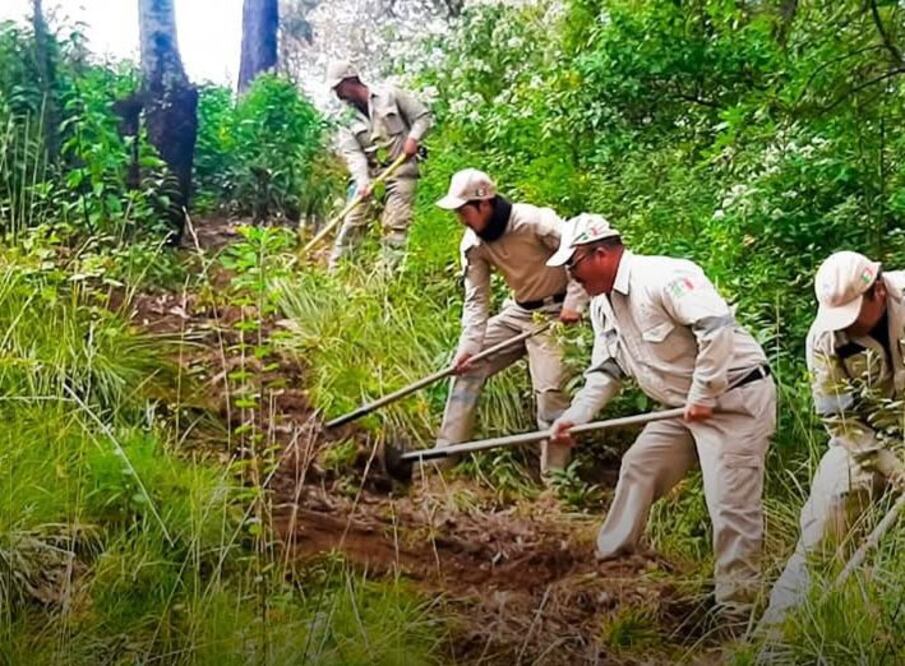Las autoridades han intensificado acciones preventivas para reducir el riesgo de incendios forestales. Foto Especial