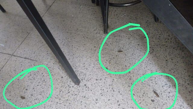 En al menos 3 puntos del Colegio de Ciencias y Humanidades (CCH) se escucharon detonaciones de petardos/ Foto Especial