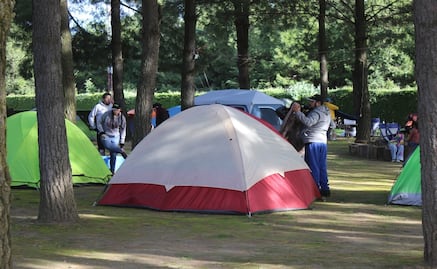 ¡Aventura Ecológica! Disfruta del Campamento Familiar en el Parque Ecológico Zacango