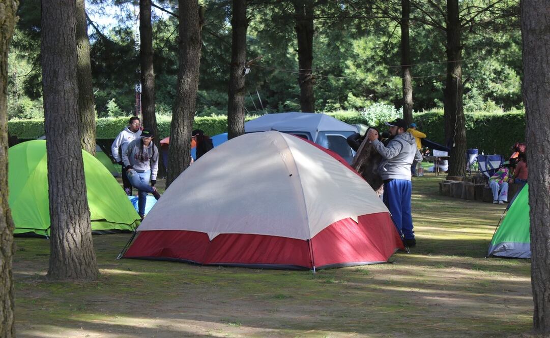 El Campamento Familiar por un Planeta Verde se realizará los días 29 y 30 de marzo, en el Parque Ecológico Zacango. Foto: Especial