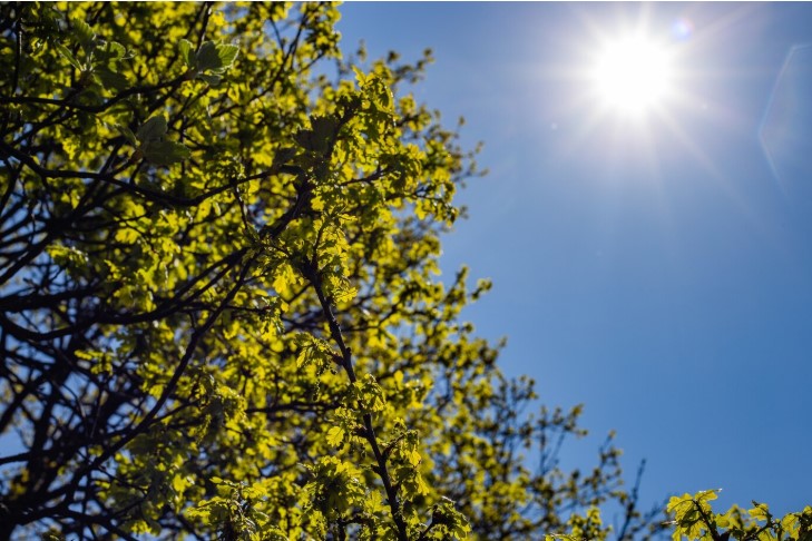 Toluca: Mañana despejada dará paso a nubosidad vespertina con viento moderado