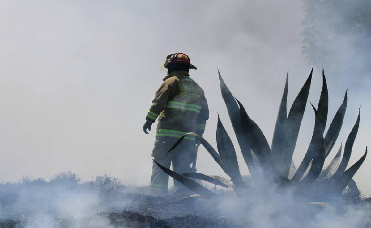 Un llamado a la prevención: evitar quemas es crucial para reducir los incendios en Metepec. Foto: Alejandro Vargas