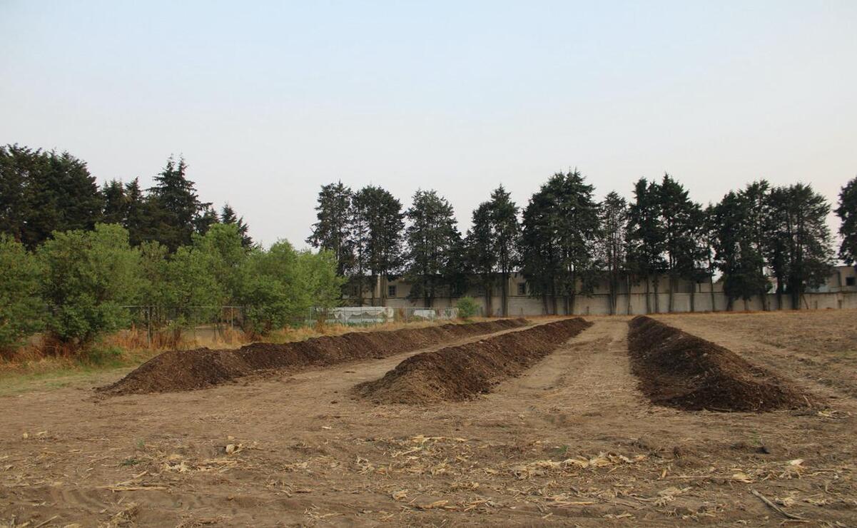 El Edomex busca fomentar la agroecología para producir composta. Foto: Especial.