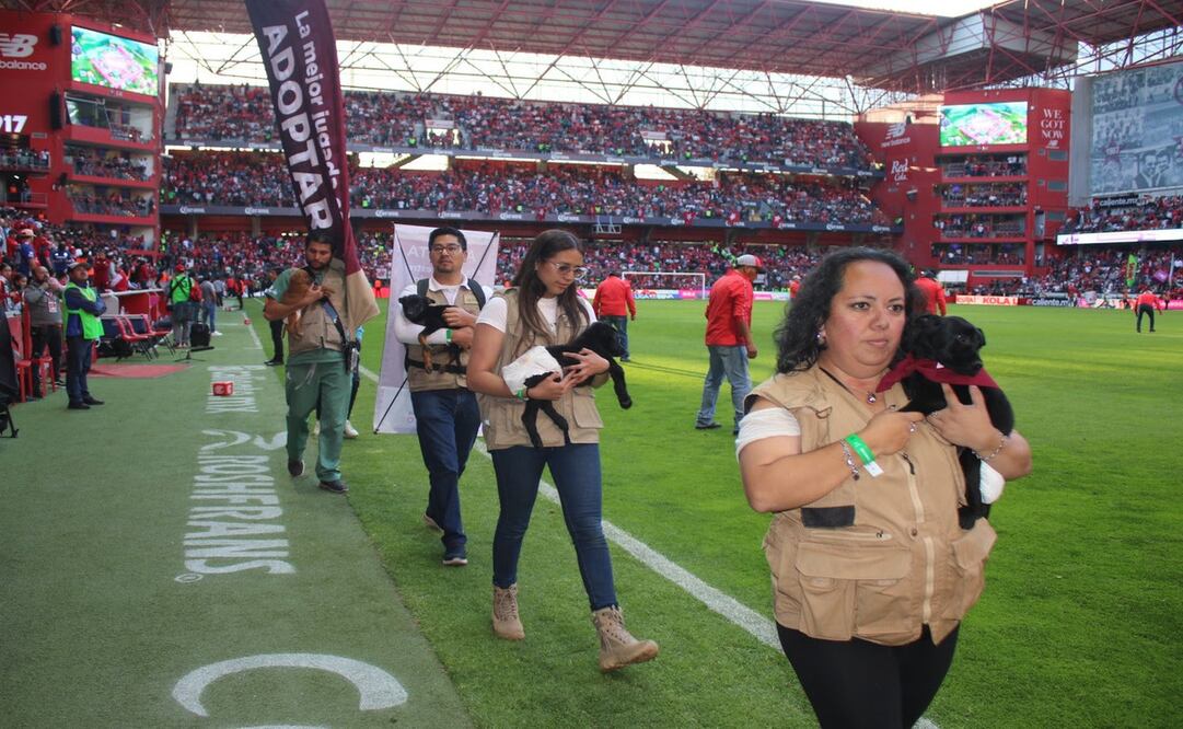 La iniciativa “La Mejor Jugada es Adoptar” fomenta la adopción responsable de mascotas durante los partidos del Deportivo Toluca / Foto: Especial