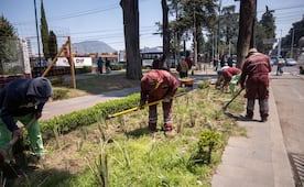 ¡Adiós al caos en Paseo Colón! Toluca inicia mega rescate urbano con bacheo, luz y orden vial