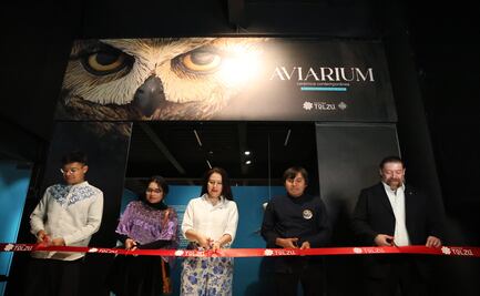 Toluca se llena de arte: Inauguran exposición “AVIARIUM” en Centro Tolzú