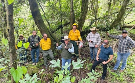 Edomex inicia trabajos preventivos ante próxima temporada de incendios forestales