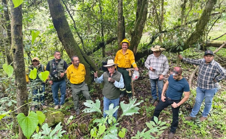 Edomex inicia trabajos preventivos ante próxima temporada de incendios forestales