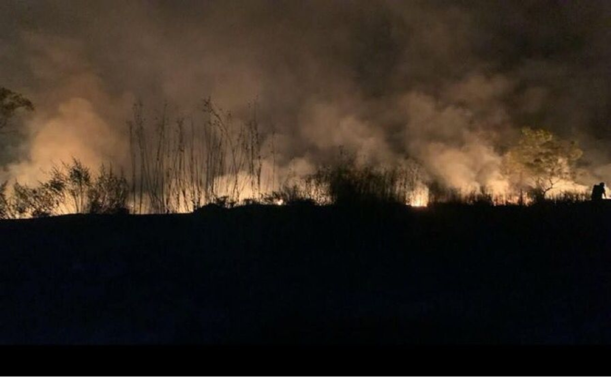 El fuego avanzó rápidamente en Lomas Verdes, generando una situación de emergencia cerca de la autopista Chamapa-LecheríaFoto: Especial