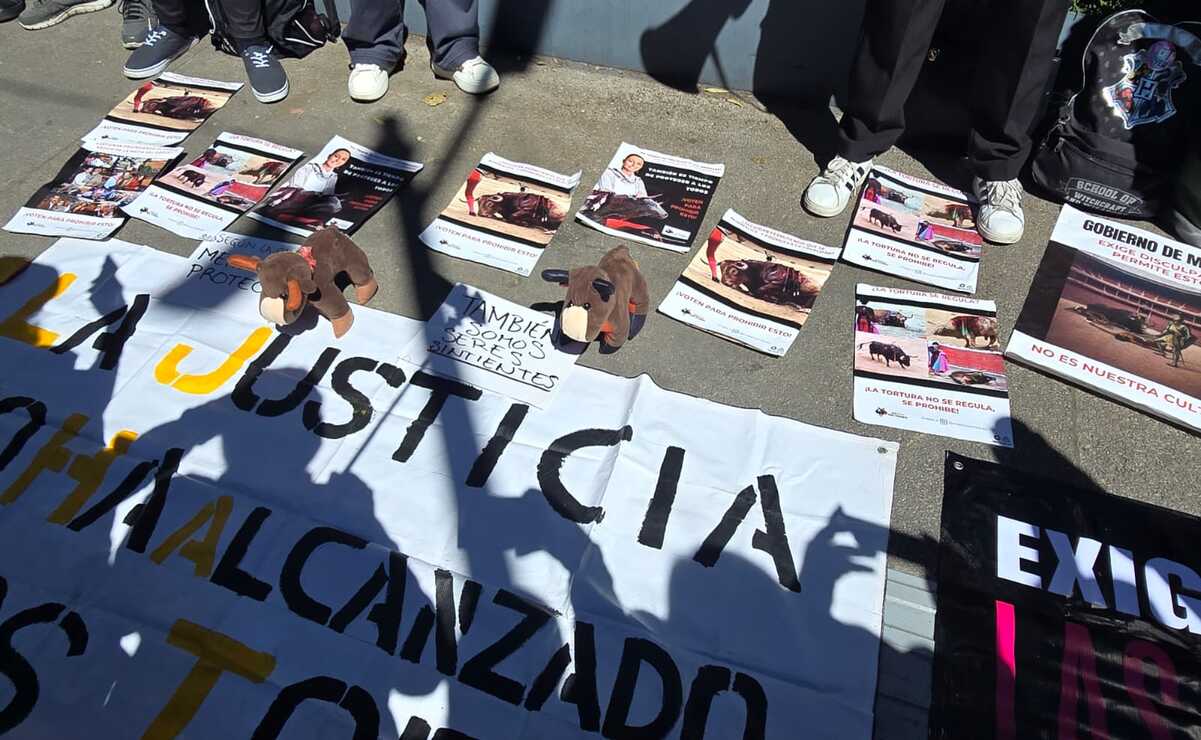 Exigen a los diputados, principalmente al Grupo Parlamentario del Partido Verde Ecologista de México (PVEM) a apoyar la propuesta / Foto Alma Rodríguez