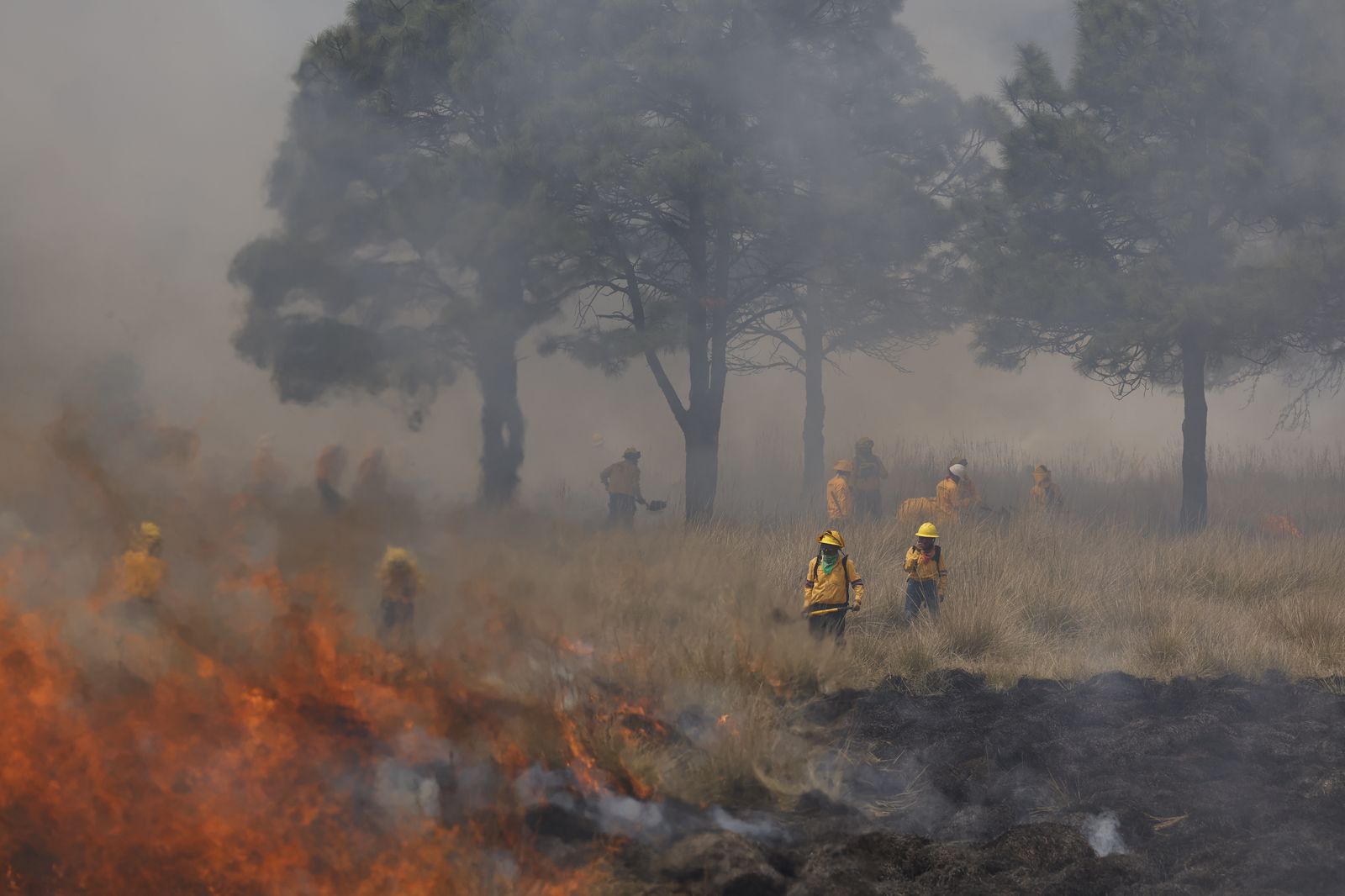 A pesar de la reducción, la temporada de incendios continúa hasta el 15 de junio, requiriendo vigilancia y acciones preventivas. Foto Arturo Hernández