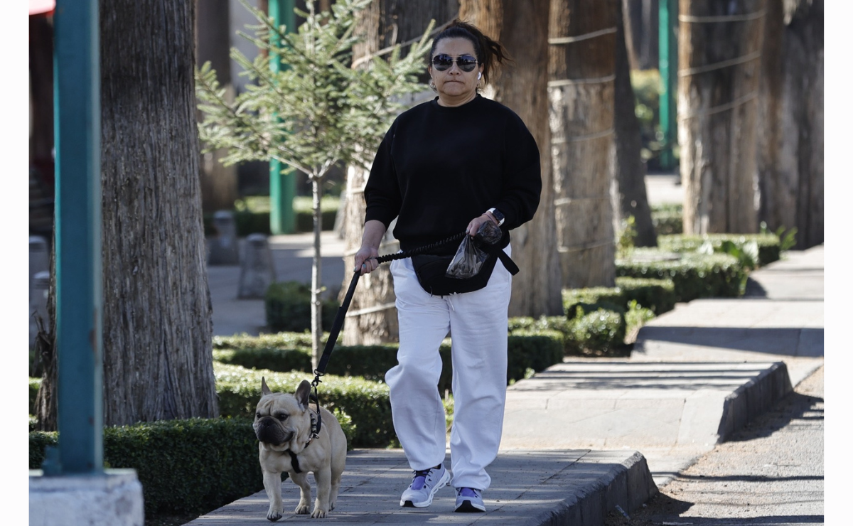 ¡Colitas felices y sonrisas contagiosas! Descubre el paraíso canino en Paseo Colón, Toluca. Foto: Jorge Alvarado