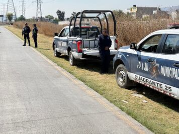 Escalofriante: Perros descubren cabeza humana en zona de Mexibús en Ecatepec