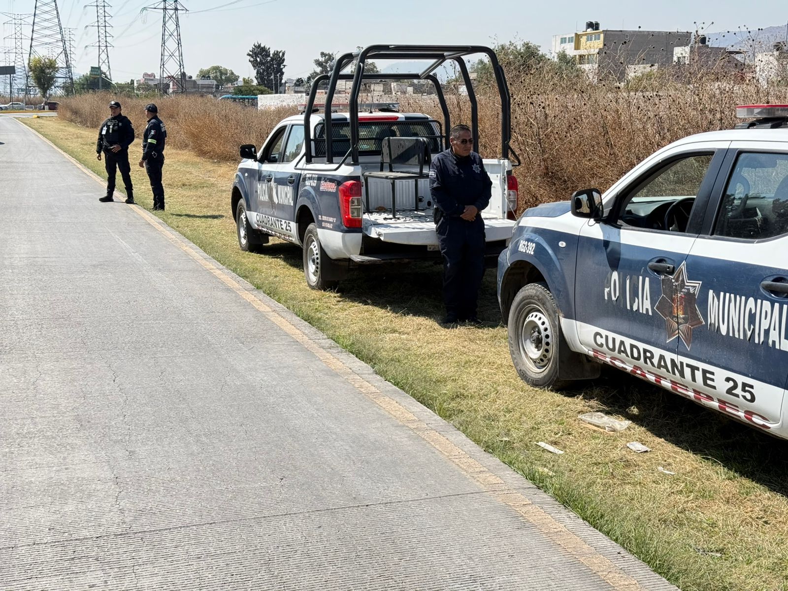 Escalofriante: Perros descubren cabeza humana en zona de Mexibús en Ecatepec