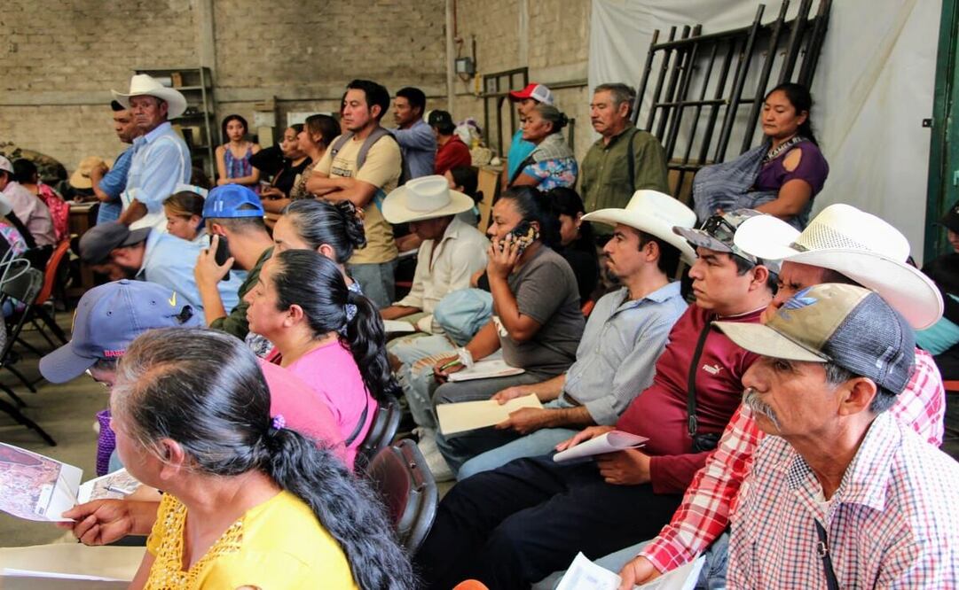 Cualquier productor que esté interesado en inscribirse a estos programas, debe acudir a la ventanilla con un escrito libre que contenga nombre del solicitante / Foto: Especial