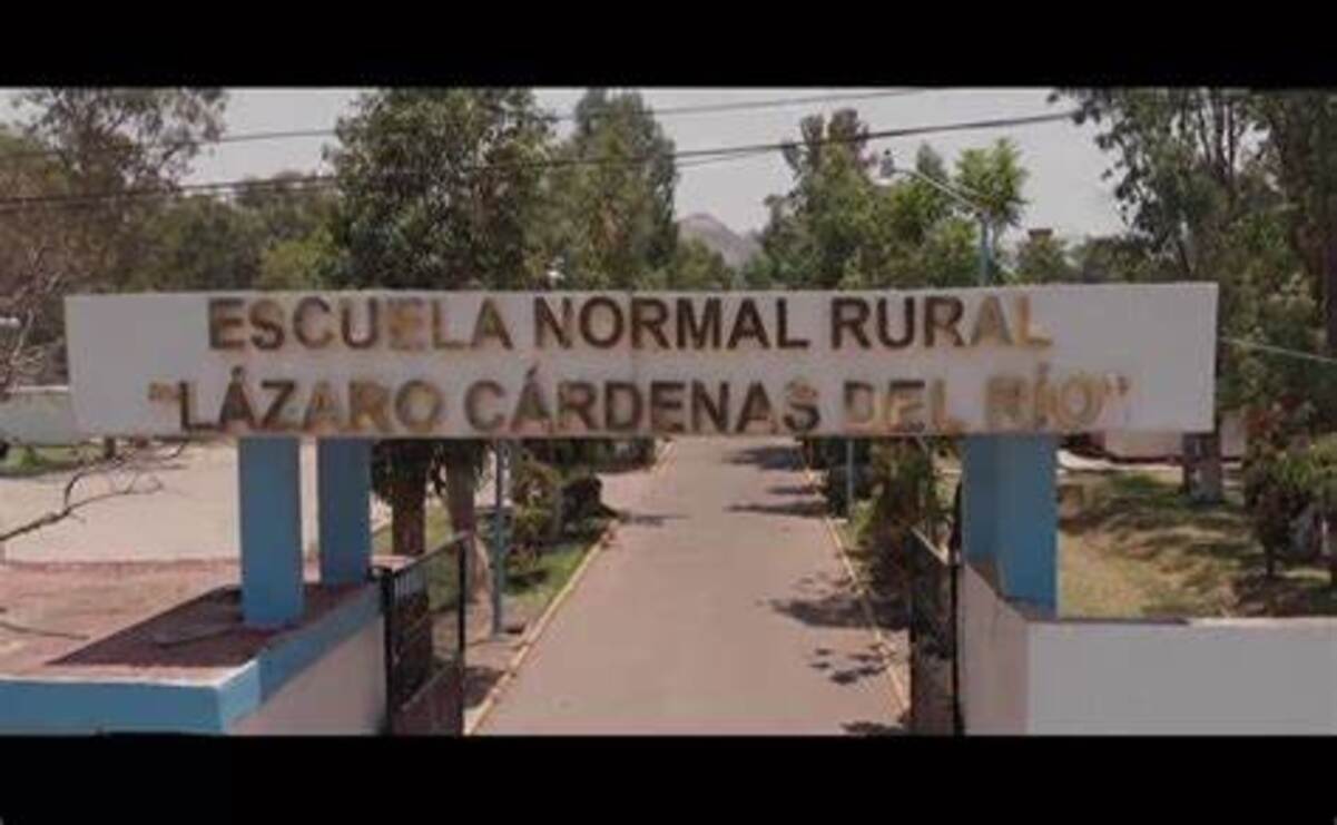 Desarrollar programas de tutoría y asesoría para mejorar los procesos de formación y aprendizaje / Foto: Especial