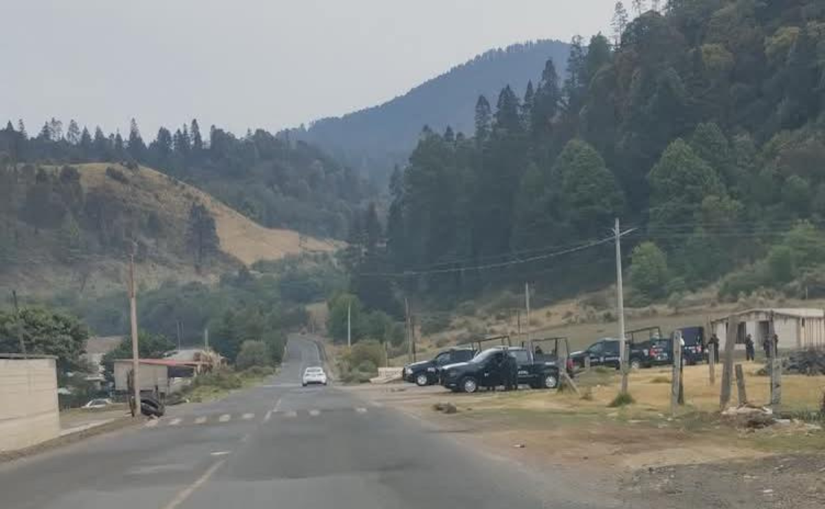 Ocuilan clama ayuda: la tala ilegal amenaza las Lagunas de Zempoala. Foto: Especial