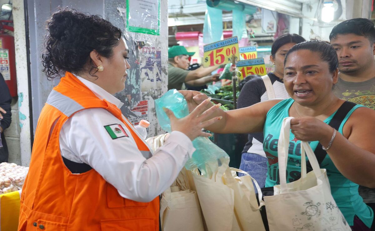 Una bolsa plástica puede tardar hasta 500 años en degradarse completamente / Foto Especial