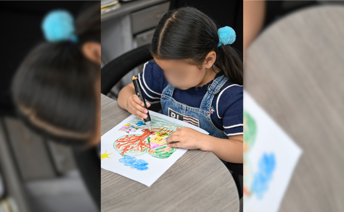 Tienen como fecha límite el 01 de noviembre para enviar el dibujo o pintura al Consejo Estatal de Población. Foto: Especial