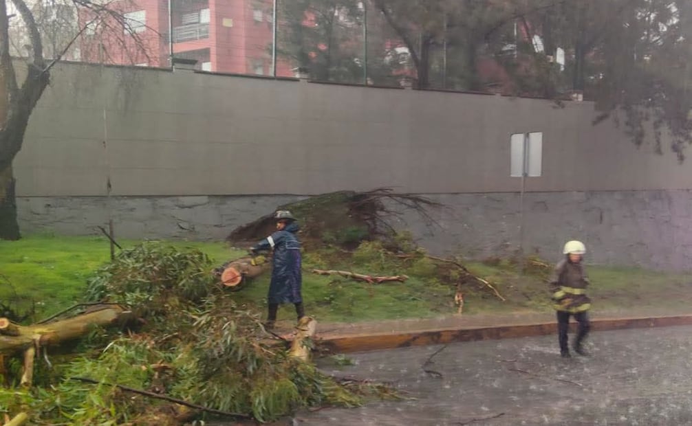 Cuadrillas de emergencia laboraron en la retirada de ramas sobre avenidas principales para restablecer la circulación. Foto Especial