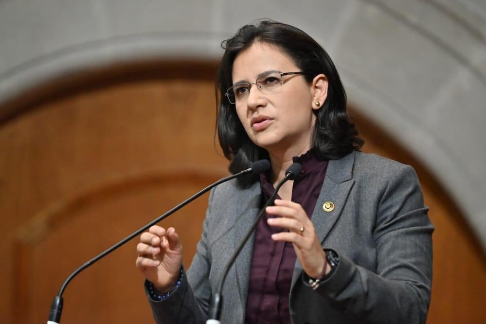 La diputada Paola Jiménez Hernández (Morena) refirió que si bien, las tecnologías digitales ofrecen beneficios, cuando su utilización es inadecuada o excesiva, representan un riesgo. Foto: especial