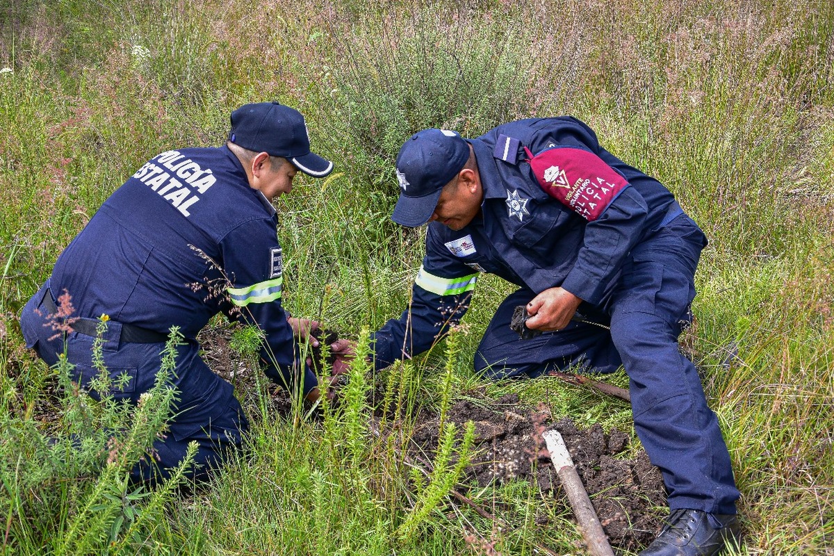 Reforestan Coacalco: Plantan 750 árboles para recuperar la Sierra de Guadalupe