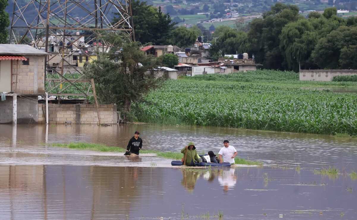 La pérdida asciende a poco más de 50 mil pesos por cada hectárea que resultó inundada en Otzolotepec. Foto: Especial