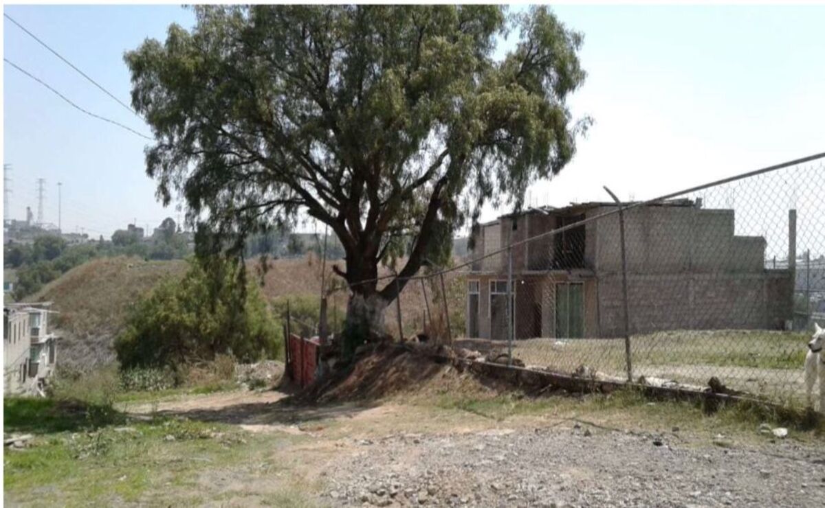 Buscaban subastar un predio de propiedad municipal con valor de 55 millones 520 mil pesos. Foto: Especial.
