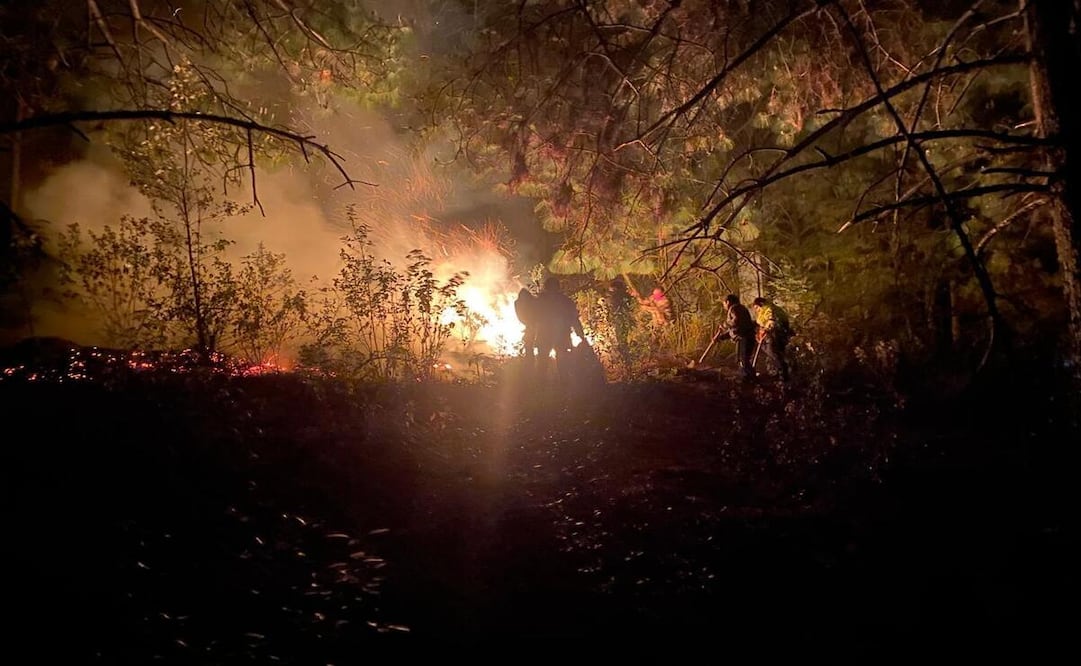 Un grupo de aproximadamente 80 habitantes de la localidad de Santa Ana Nichi se organizaron para sofocar dos incendios forestales. Foto: Especial
