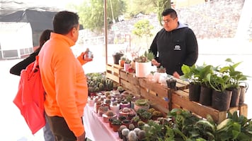 Gobierno de Ecatepec realiza “2do. Festival de la Sierra de La Laguna”
