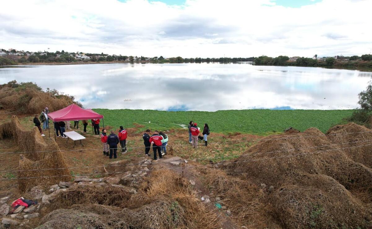Alerta en Cuautitlán Izcalli: Buscan a tres cocodrilos que ponen en riesgo a trabajadores