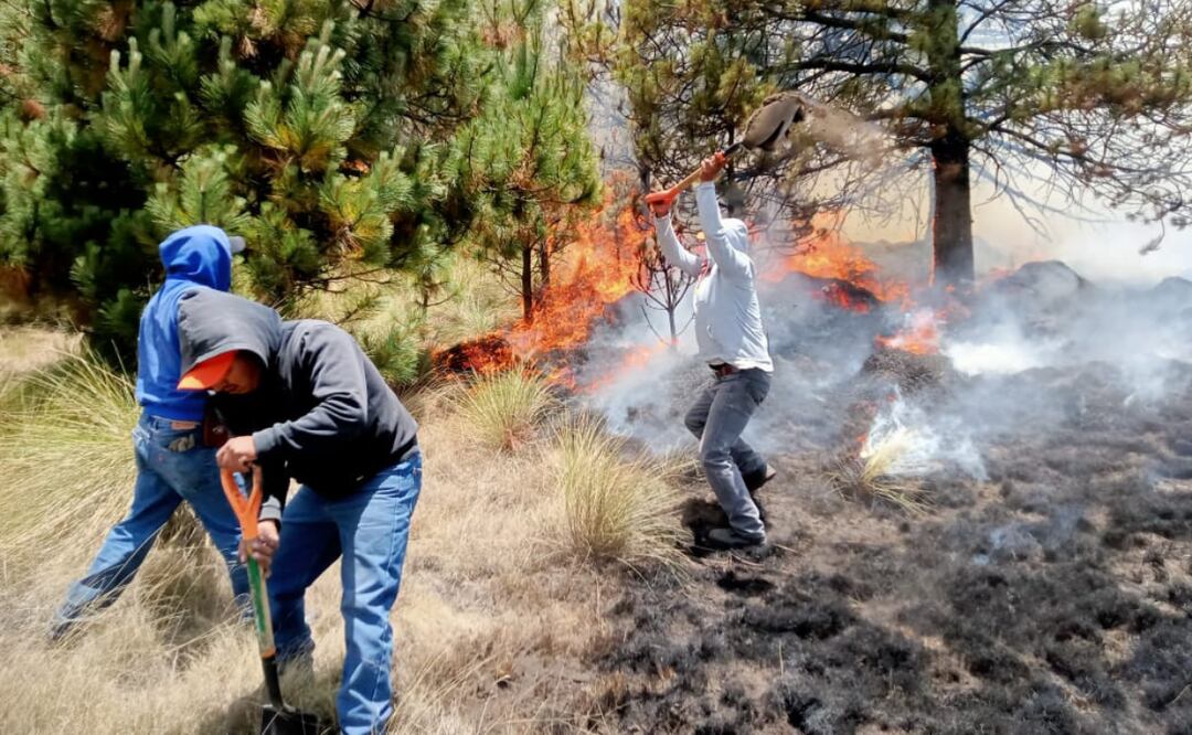 Zinacantepec reporta un aumento del 20% de incendios en diferentes. Foto: Especial
