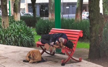 ¡Amiga Fiel! Perrita acompaña a su amo tras morir en la Alameda de Toluca