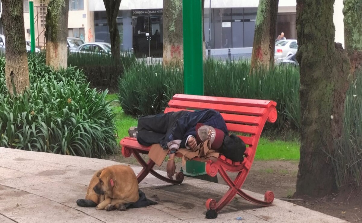 ¡Amiga Fiel! Perrita acompaña a su amo tras morir en la Alameda de Toluca