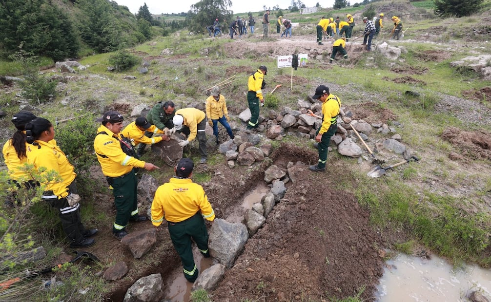 La restauración hidrológica forestal busca recuperar los ecosistemas que abastecen los mantos freáticos de la región. Foto Alejandro Vargas / El Universal