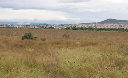 Diez municipios del Edomex ceden terrenos para impulsar la construcción de vivienda