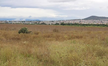 Diez municipios del Edomex ceden terrenos para impulsar la construcción de vivienda