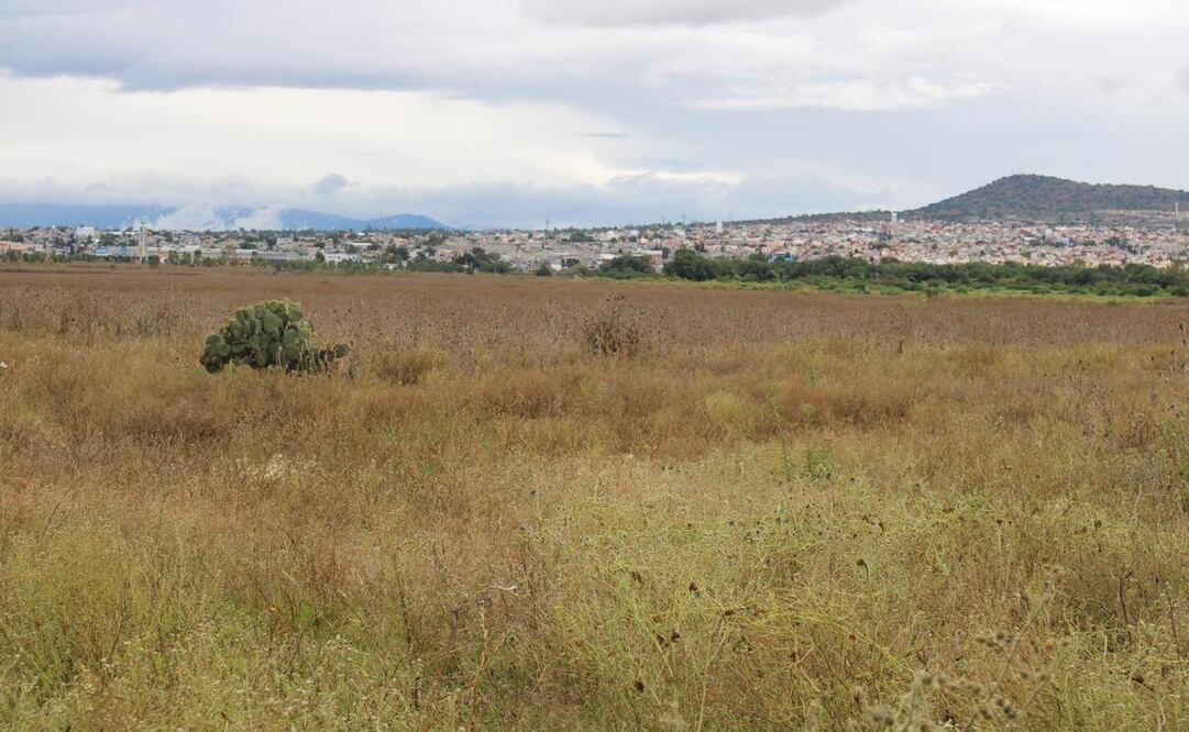 Las autoridades buscan evitar viviendas abandonadas por falta de servicios o por ubicarse en zonas incomunicadas / Foto Especial