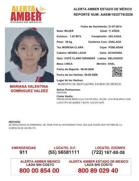 La menor de 11 años caminaba acompañada de su hermano menor. Foto. Especial