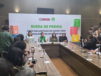 Más bosques, menos contaminación: El plan ambiental del PVEM