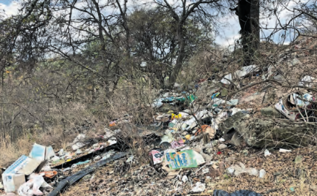 Contaminación por desechos plásticos y otros residuos afecta la belleza escénica de la Cascada El Salto. Foto: Especial