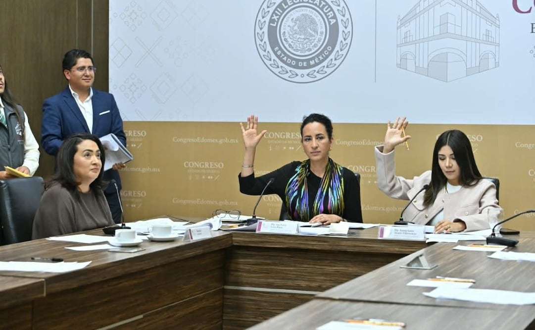 La iniciativa contempla sanciones para quienes utilicen drones, dispositivos de geolocalización o sistemas de videovigilancia para cometer delitos. Foto especial