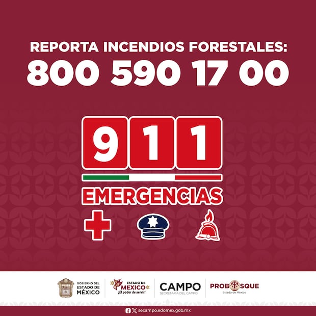 A través del Teléfono Rojo se atienden de manera oportuna los incendios forestales. Foto. Especial