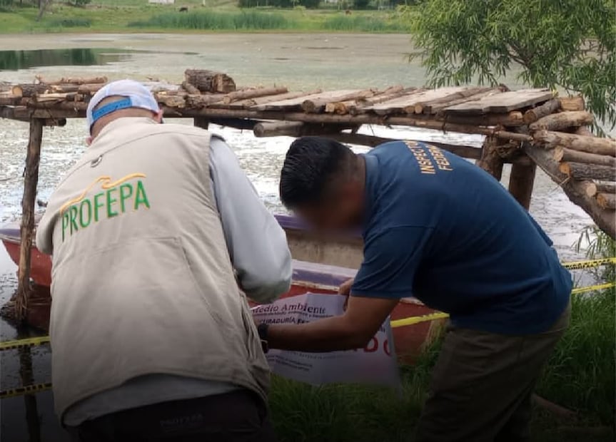 La Profepa detectó la construcción de un muelle en un área natural protegida. Foto. Especial