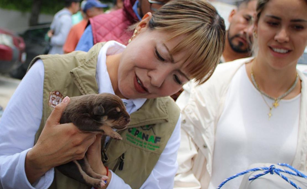 La jornada de bienestar animal en la presa Los Cuartos brindó servicios veterinarios esenciales y protección a mascotas vulnerables. Foto: Especial