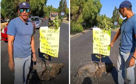 ¡Árboles en los baches! Vecino de Cuautitlán Izcalli realiza una protesta de forma creativa