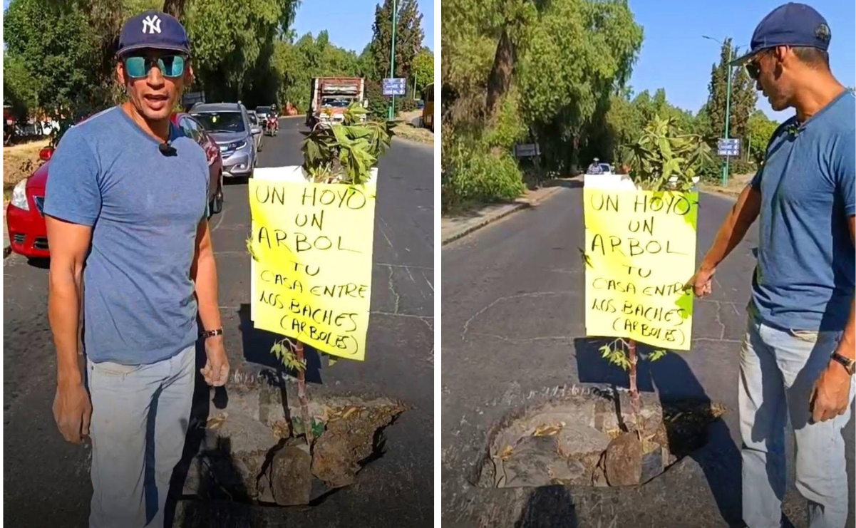 ¡Árboles en los baches! Vecino de Cuautitlán Izcalli realiza una protesta de forma creativa