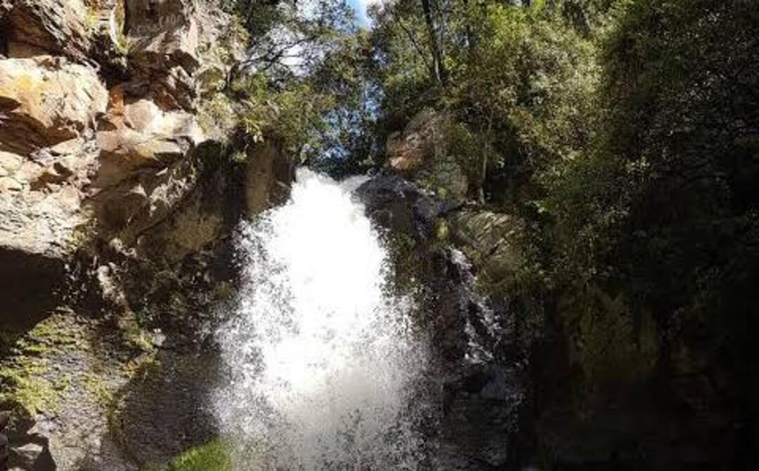 El salto de agua es ideal para los amantes de la fotografía y el senderismo, ya que el entorno está rodeado por un hermoso paisaje de bosque. Foto Especial