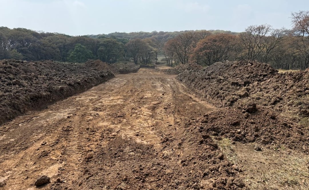 Vecinos aglomerados en "Defensa de los Bosques Atizapenses" captaron la apertura de caminos y el derribo de árboles en el Ejido de Espíritu Santo. Foto Especial