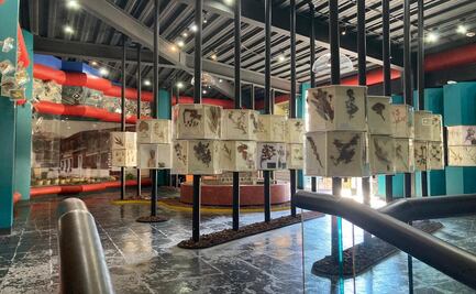 Conoce la colección del museo Luis Mario Schneider en Malinalco